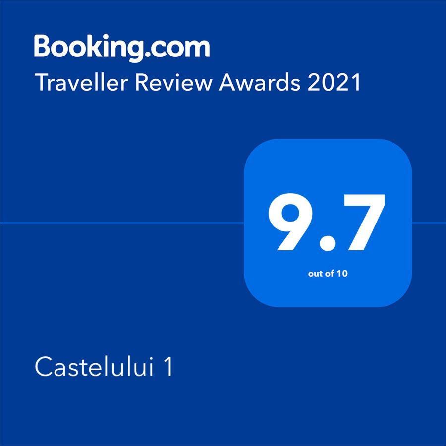Апартаменты Castelului 1 Брашов Экстерьер фото